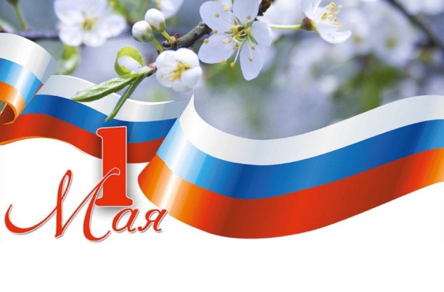 С Днем Весны и Труда!