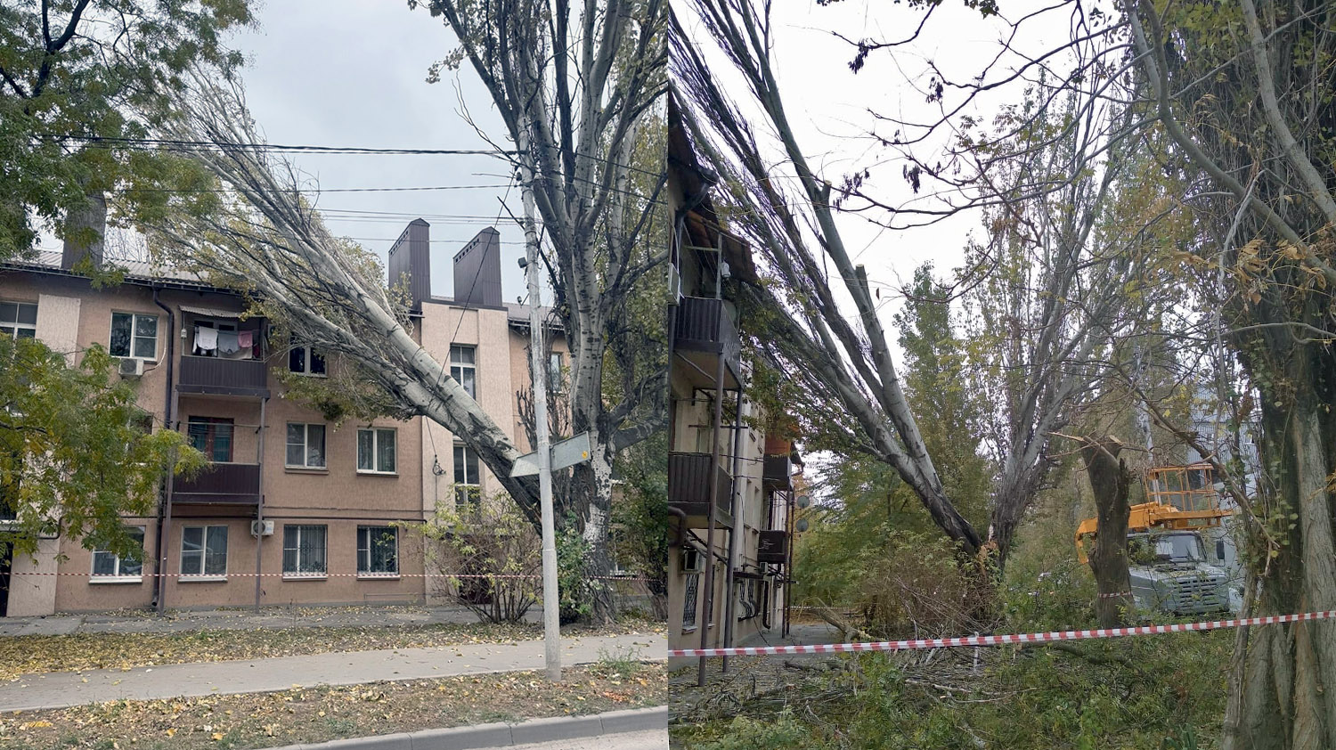 Аварийное дерево оперативно убрано