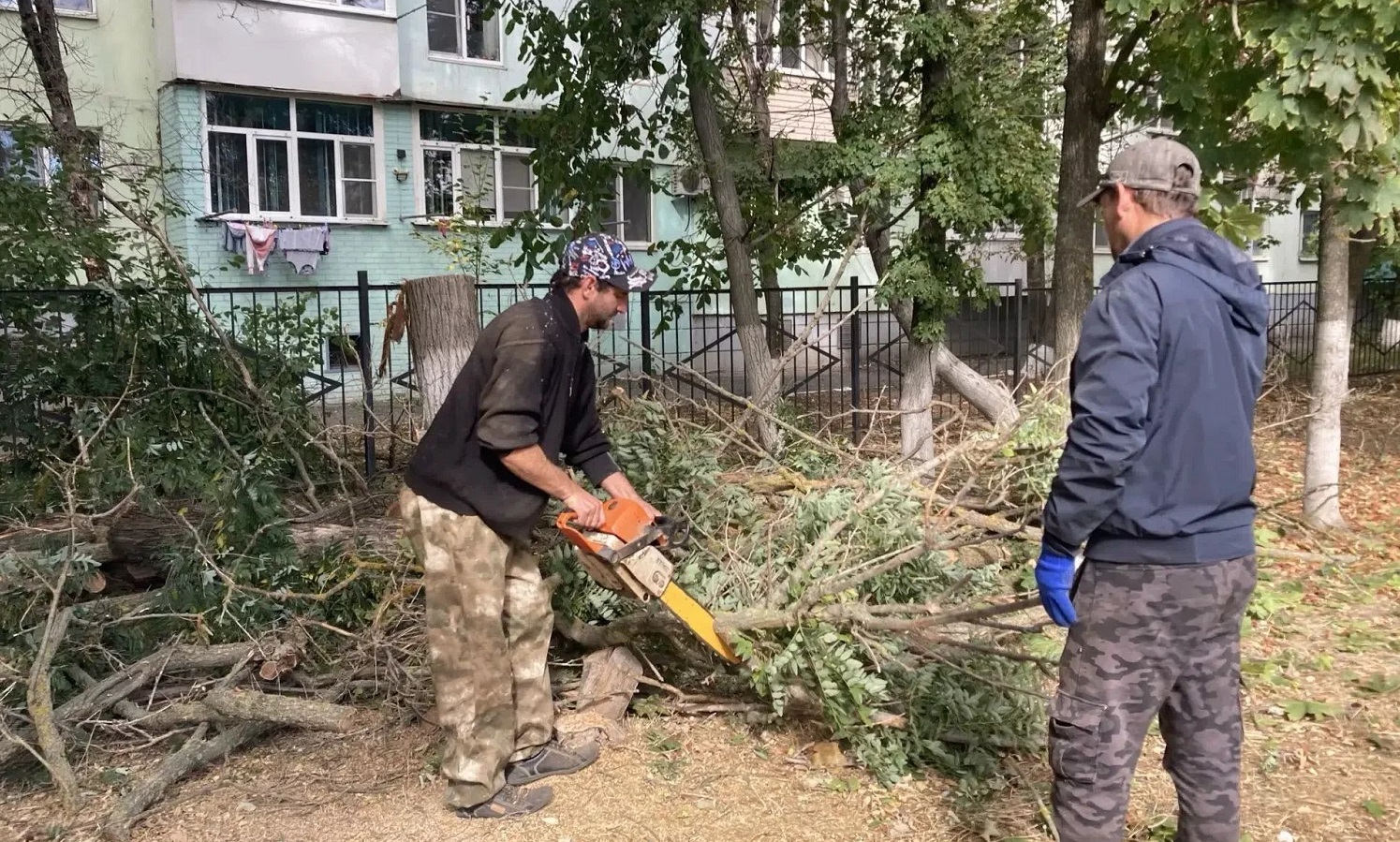 В центре внимания